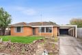 Property photo of 5 Merralyn Street Belmont VIC 3216