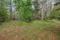 Property photo of 62 Shane Lane Tolmie VIC 3723