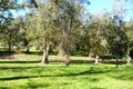 Property photo of 62 Links Drive Raymond Terrace NSW 2324