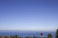 Property photo of 476 Barrenjoey Road Avalon Beach NSW 2107