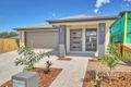 Property photo of 43 Jersey Crescent Springfield Lakes QLD 4300