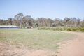 Property photo of 478 Racecourse Road Calliope QLD 4680
