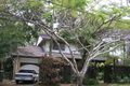 Property photo of 3 Bedser Street Macgregor QLD 4109