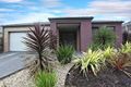 Property photo of 3 Greenview Court Cranbourne North VIC 3977