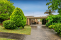 Property photo of 4 Aminya Crescent Yallambie VIC 3085