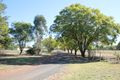 Property photo of 12002 Carnarvon Highway St George QLD 4487