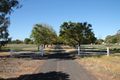 Property photo of 12002 Carnarvon Highway St George QLD 4487