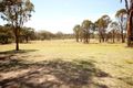 Property photo of 1 Euroka Avenue Murrumbateman NSW 2582