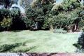 Property photo of 38 Orana Crescent Peakhurst Heights NSW 2210