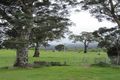 Property photo of 812 Wild Cattle Flat Road Jingera NSW 2622