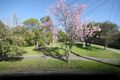 Property photo of 4 Gordon Crescent Boronia VIC 3155