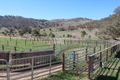 Property photo of 890 Oakhills Road Nangus NSW 2722
