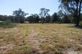 Property photo of 180 Minerva Road Wedderburn NSW 2560