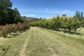 Property photo of 1104 Yarck Road Gobur VIC 3719