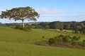 Property photo of 5 Cloudwalk Drive Maleny QLD 4552