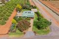 Property photo of 26 Dempsey Road Leeton NSW 2705