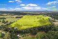 Property photo of 693-717 Diddillibah Road Diddillibah QLD 4559