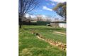 Property photo of 20 Carinya Avenue Manilla NSW 2346