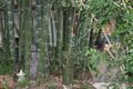 Property photo of 296 Hunchy Road Hunchy QLD 4555
