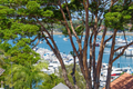 Property photo of 7/38 Wunulla Road Point Piper NSW 2027