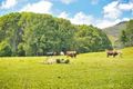 Property photo of 2 Ringtail Road Stokers Siding NSW 2484