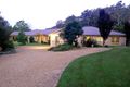 Property photo of 291 Sunny Corner Road Bellingen NSW 2454