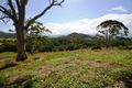 Property photo of 22 Coramba Road Coffs Harbour NSW 2450