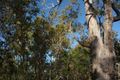 Property photo of 4 Surman Place Roleystone WA 6111