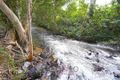 Property photo of 3357 Kennedy Highway Mareeba QLD 4880