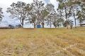 Property photo of 14 Carol Anne Court Regency Downs QLD 4341