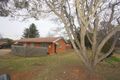 Property photo of 39B Parker Street Curtin ACT 2605