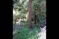 Property photo of 11 Old Don Road Badger Creek VIC 3777