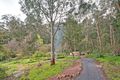 Property photo of 121 Basin-Olinda Road The Basin VIC 3154