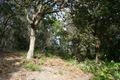 Property photo of 7 Karboora Drive Point Lookout QLD 4183