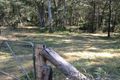 Property photo of 165 Delicia Road Coolabine QLD 4574