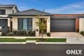 Property photo of 133 Billy Buttons Drive Narre Warren VIC 3805