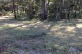 Property photo of 165 Delicia Road Coolabine QLD 4574