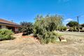 Property photo of 47 Blantyre Street Katanning WA 6317