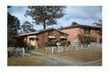 Property photo of 6 Buckingham Road Berkeley Vale NSW 2261