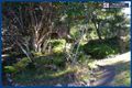 Property photo of 23 Forestry Road Springbrook QLD 4213