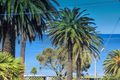 Property photo of 24/4 Alfred Square St Kilda VIC 3182