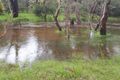 Property photo of 500 Harper Road Wooroloo WA 6558
