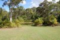 Property photo of 41 Redwood Road Doonan QLD 4562