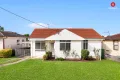 Property photo of 14 Lambert Place Mount Pritchard NSW 2170