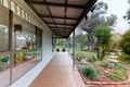 Property photo of 356 Bartley Street Cootamundra NSW 2590