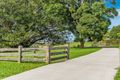 Property photo of 10 Martins Lane Knockrow NSW 2479