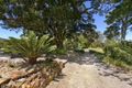 Property photo of 697 Bellingen Road Missabotti NSW 2449