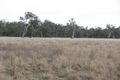 Property photo of 3173B Wambianna Road Warren NSW 2824