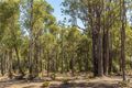 Property photo of 6 Forestedge Retreat Roleystone WA 6111