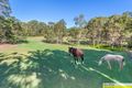 Property photo of 14 Pauli Court Warner QLD 4500